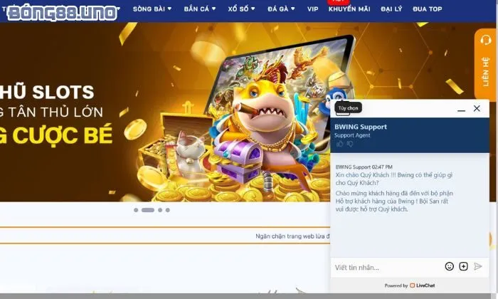 Dịch vụ hỗ trợ khách hàng đỉnh cao