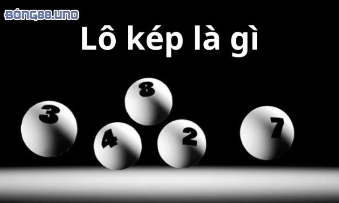 cách nuôi lô kép Giới thiệu về lô kép
