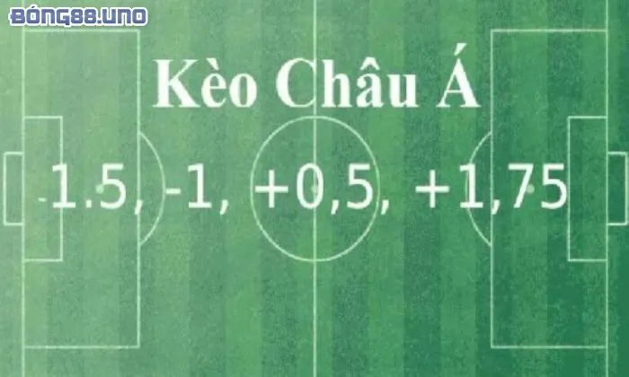 Cách soi kèo Châu Á Cách đọc các loại kèo Châu Á trong cá độ bóng đá