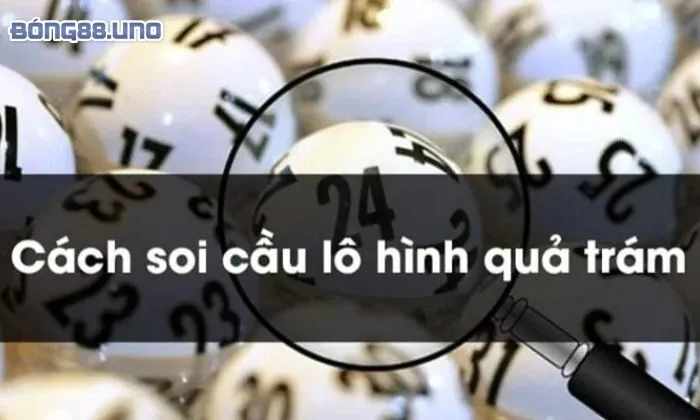 cách soi kèo quả trám Cách soi kèo quả trám