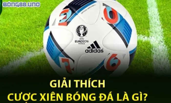 cược xiên bóng đá là gì Luật chơi kèo xiên bóng đá