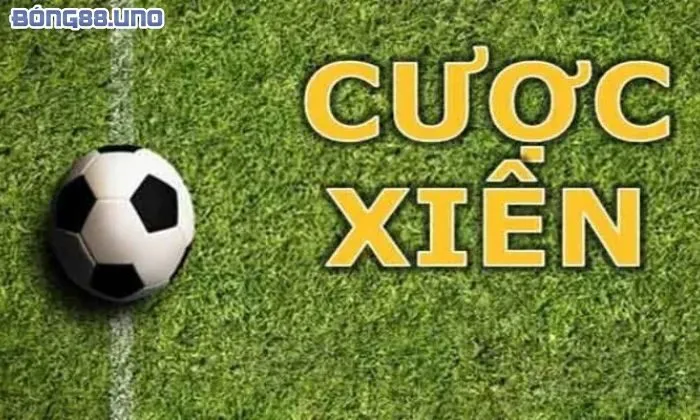 cược xiên bóng đá là gì Cách tính tiền khi chơi kèo cược xiên bóng đá