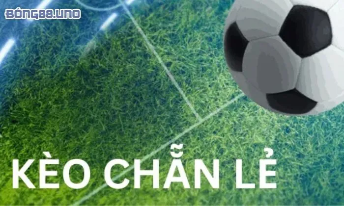 kèo chẵn lẻ là gì Thông tin chi tiết về kèo chẵn lẻ