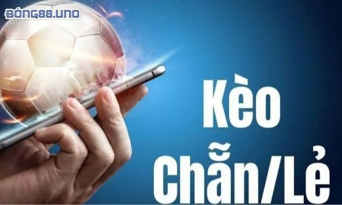 kèo chẵn lẻ là gì Phân loại những loại kèo chẵn lẻ