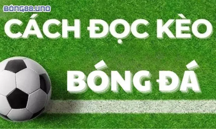 kèo chẵn lẻ là gì Các loại kèo chẵn lẻ hiện nay