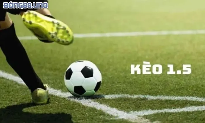 kèo chấp 1.5 Cách đọc kèo chấp 1.5 chuẩn xác nhất