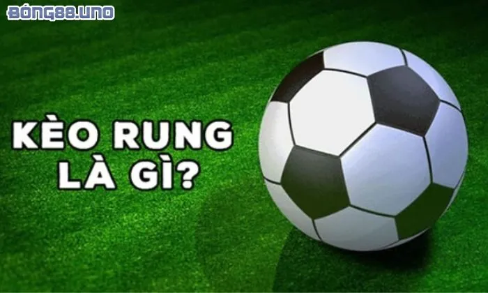 kèo rung là gì Giải đáp kèo rung là thế nào
